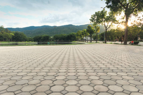 Best Residential Paver Driveway  in China, TX